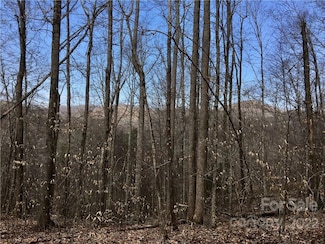 99 &57 Fern Hill Dr, Mars Hill, NC 28754