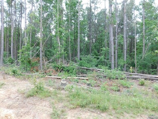 TBD Megan Mills Rd, Gilmer, TX 75644
