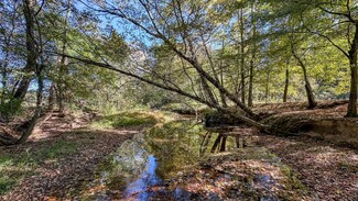0 Will Long Ln, Mc Ewen, TN 37101