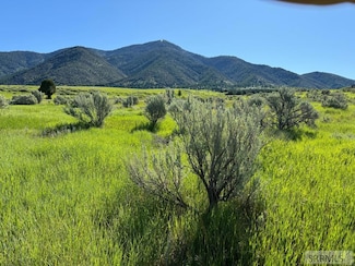 L16B4 Sumac Loop, Swan Valley, ID 83428