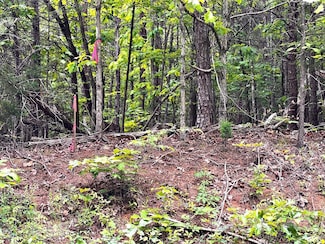0 Old Tower Hill Rd, Dillwyn, VA 23936