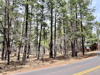 4024 Latigo Way, Pinetop, AZ 85935