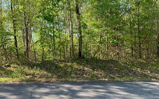 Lot 57 Fires Creek Cove Rd, Hayesville, NC 28904