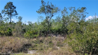 1061 Riding Dr, Lorida, FL 33857