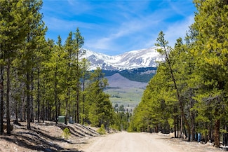 758 Spruce Dr, Twin Lakes, CO 81251