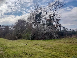 TBD N Us Hwy 259, Daingerfield, TX 75638