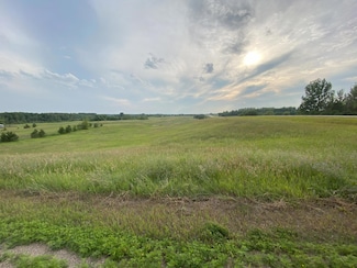 Lot 1 Block 1 Tasha Dr, Ida Township, MN 56332