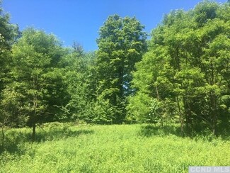 0 County Route 67 Unit 127223, Cairo, NY 12413