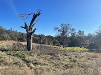 741 Long Hollow Dr, Yosemite Lakes, CA 93614