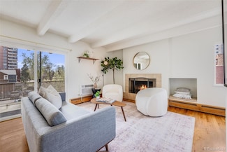 250 N Pearl St Unit 301, Denver, CO 80203