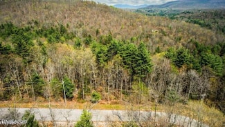 38 Green Ridge Trail, Harriman, TN 37748
