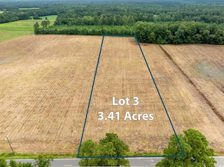 TBD Lot B3 Mount Olive Church Rd, Nichols, SC 29581