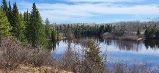 10076 Orr Buyck Rd, Orr, MN 55771