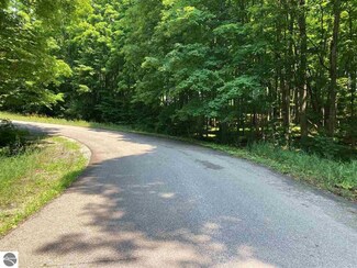 0 Staceywood Cir, Bellaire, MI 49615