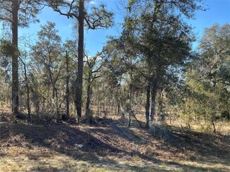 lot 8 SW Viburnum Rd, Rainbow Lakes Estates, FL 34431
