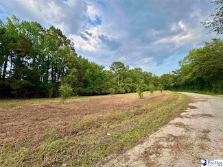 3.40 +/- Freeman Loop Rd, Chesterfield, SC 29709