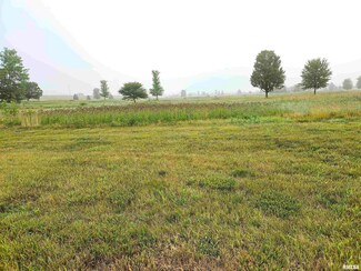LOT 17 Ring, Metamora, IL 61548