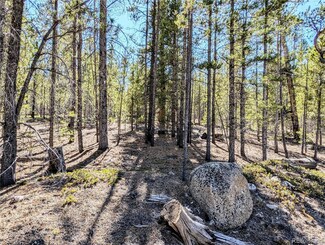 361 Hemlock, Twin Lakes, CO 81251