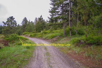 2420 Cedonia-Addy Rd, Addy, WA 99101
