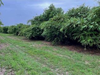 0 Mineral Branch Rd Unit MFRL4951306, Zolfo Springs, FL 33890