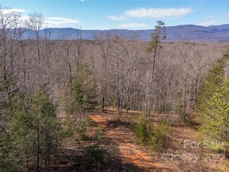 9999 Log Cabin Ln, Mill Spring, NC 28756