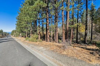 1389 Ski Run Blvd, South Lake Tahoe, CA 96150