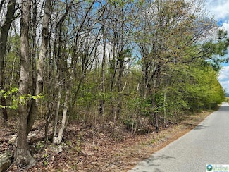 0 E Mountain Top Rd, Summit Hill, PA 18250