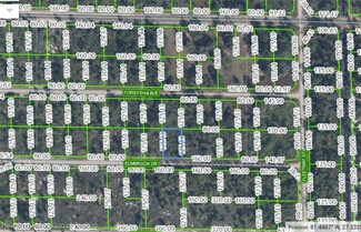 3339 Elmbrook Dr, Lake Placid, FL 33852