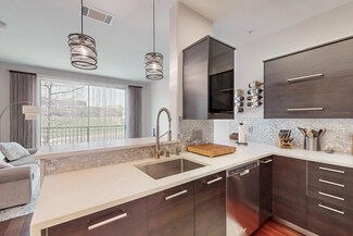 330 Las Colinas Blvd E Unit 332, Irving, TX 75039