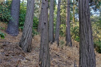 33 Bernard Dr, Crestline, CA 92325