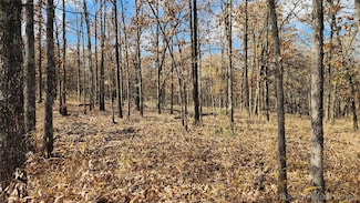 427640 E 290 Rd, Chelsea, OK 74016