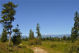 0 Turko Ln NW Unit 1879746, Seabeck, WA 98380