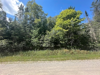 Lot 876 Cedar Brook Dr, Oscoda Township, MI 48750