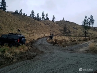 0 Spring Canyon Rd Unit NWM2356061, Orondo, WA 98843