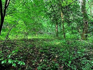 00 Grove Rd, Pickens, SC 29671