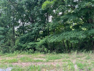 LOT 36 Sterling Ridge Dr, Summit Township, MO 65043