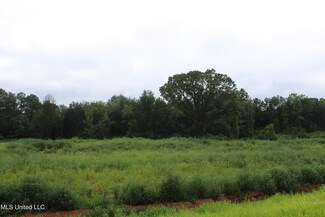13 Taylor Nichole Rd, Byhalia, MS 38611