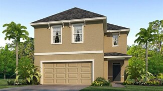 9059 Water Chestnut Dr, Thonotosassa, FL 33637