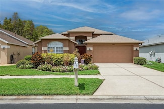 31102 Wrencrest Dr, Wesley Chapel, FL 33543
