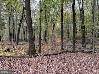 0 E Locust St Unit PACB2047480, Mount Holly Springs, PA 17065