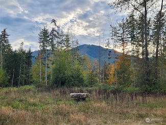 0 Rocky Brook Rd Unit Lot K NWM2302643, Brinnon, WA 98320