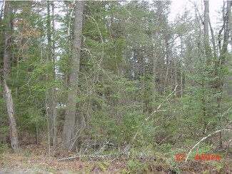 Lot 329 Pawtuckaway, Haverhill, NH 03765