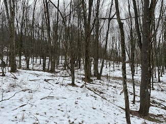 0 Frostburgh Rd, Perry Township, PA 15767