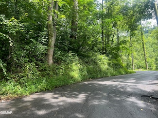 752 Loop Rd, Gatlinburg, TN 37738