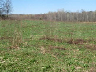 00 Dresser Rd, Summerhill, NY 13092
