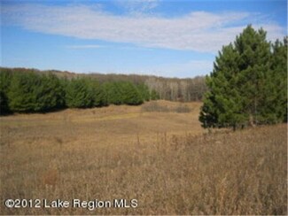 33xxx 190th St, Underwood, MN 56586