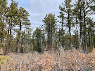 128 Bagdad Dr, Timberon, NM 88350
