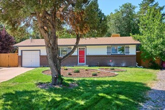 384 Diane Ct, Lone Tree, CO 80124