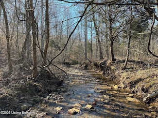 Lot 15 Duvall Rd, Caneyville, KY 42721