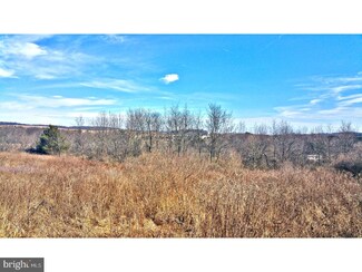446 Dad Burnhams Rd, Schuylkill Haven, PA 17972